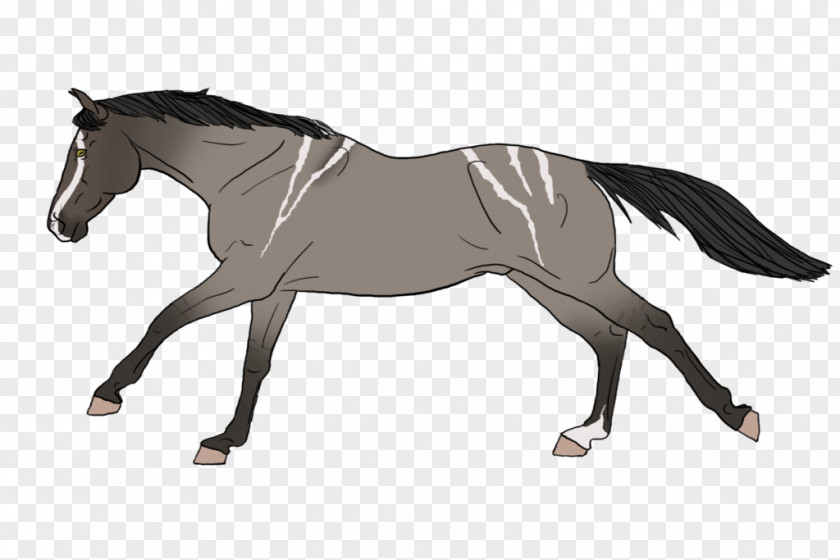 Mustang Mane Mare Rein Stallion PNG