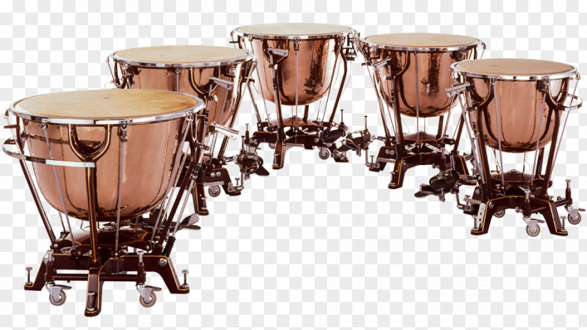 Percussion Musical Instruments Timpani Orchestra Sound PNG