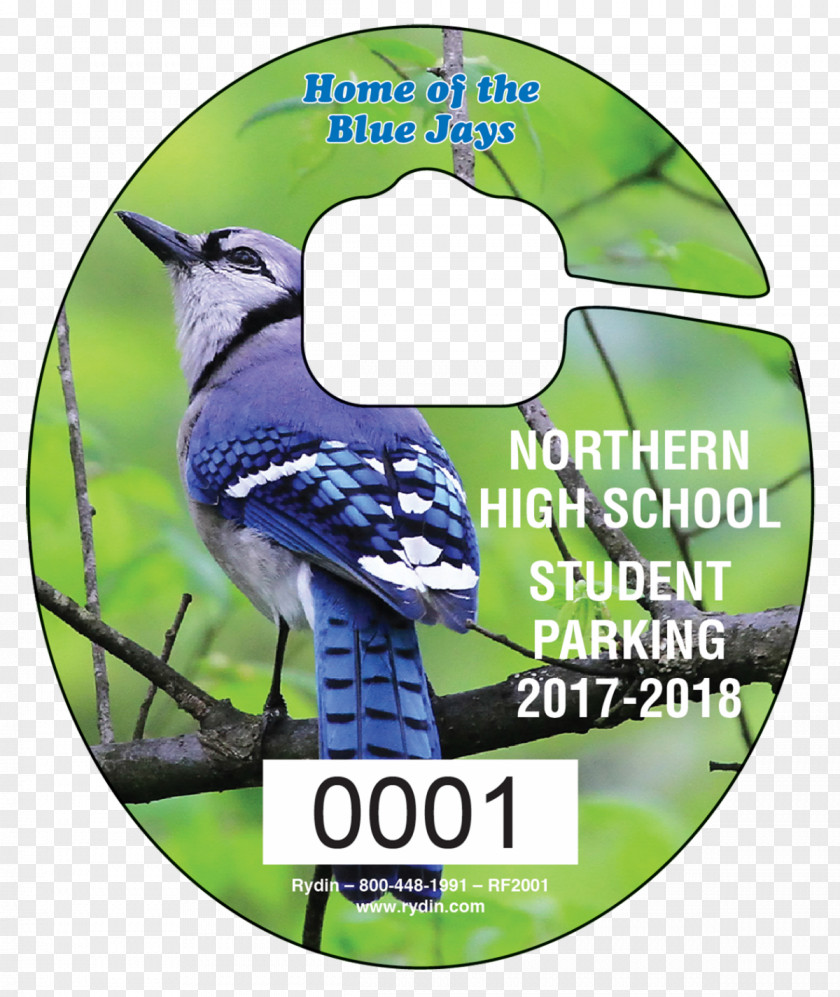 Advertising Fauna Beak Blue Jay PNG