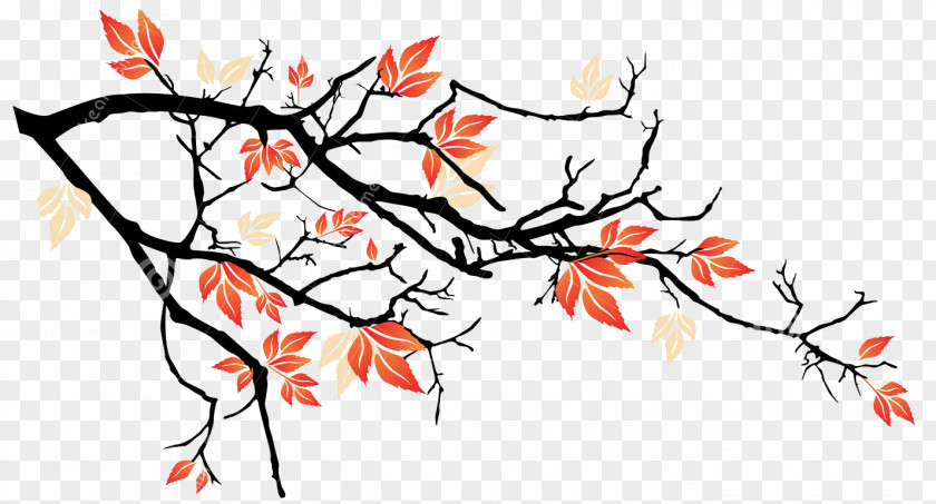 Branch Tree Art Twig Clip PNG