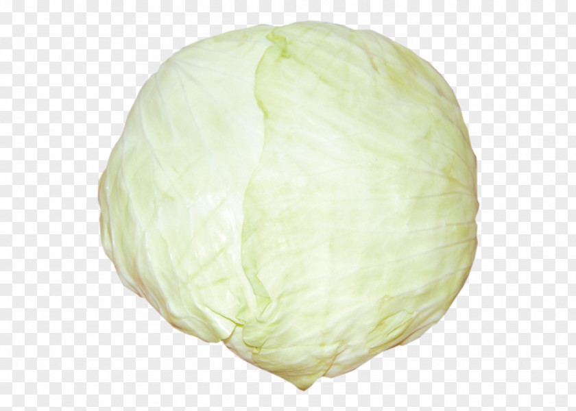 Cabbage PNG