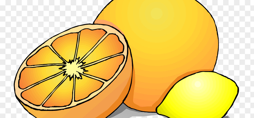 Fruit Juice Lemon Commodity Clip Art PNG