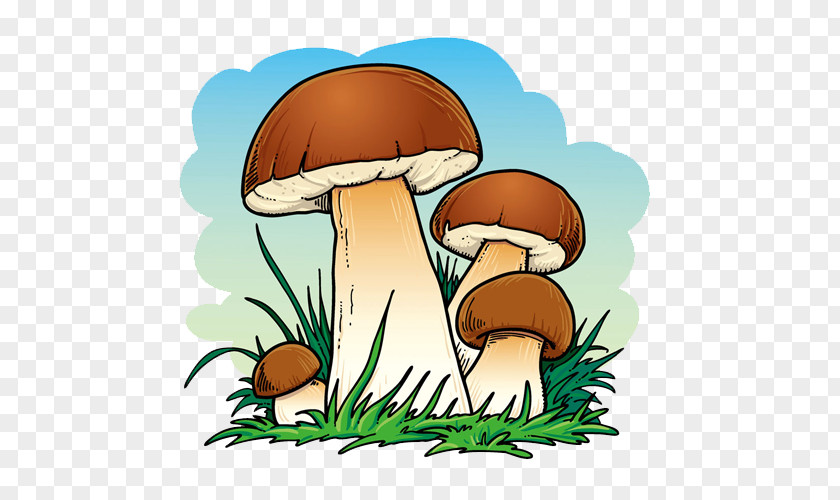 Mushroom Tree Cartoon Graphic Design Illustration PNG