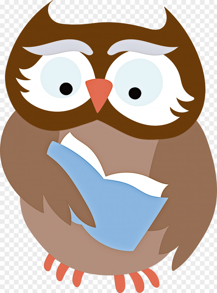 Owls Birds Beak Bird Of Prey Cartoon PNG