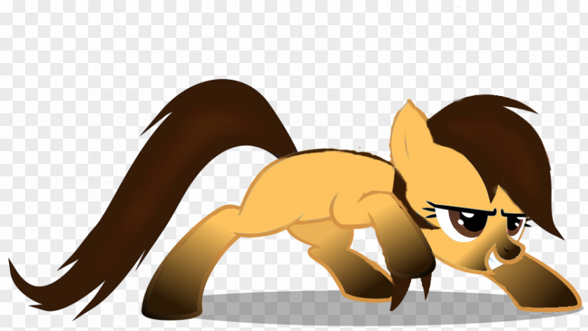 Spirit Stallion Horse Pony Owl PNG