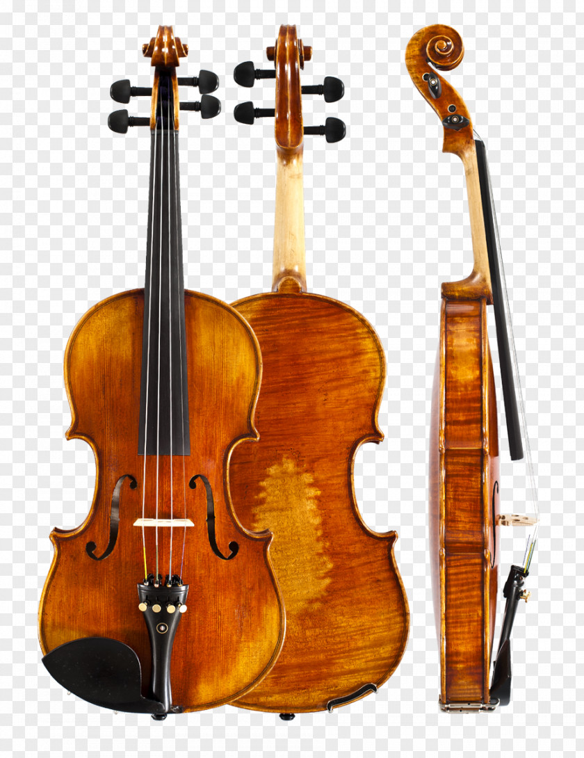 Violin Player Viola Double Bass Musical Instruments Bowed String Instrument PNG