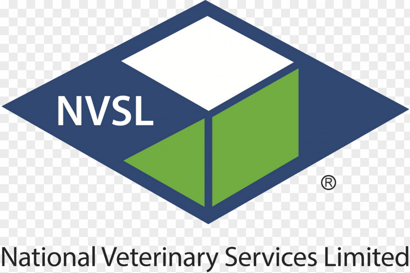 Cat Veterinarian Veterinary Medicine Border Collie Streetvet PNG