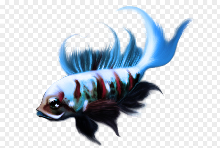 Ornamental Fish Koi PNG