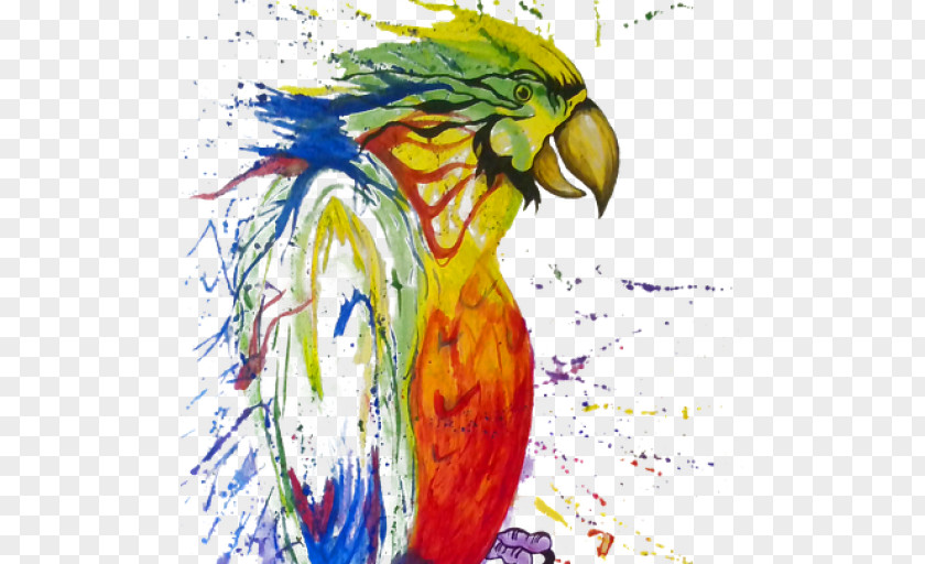 Painting Watercolor Macaw Parrot Paper PNG
