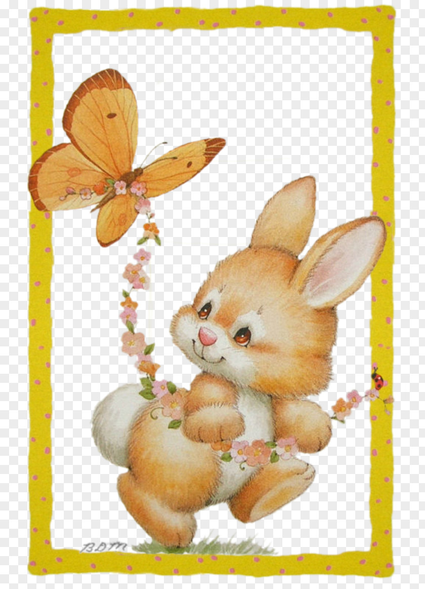 Papillon Friendship Love Easter PNG