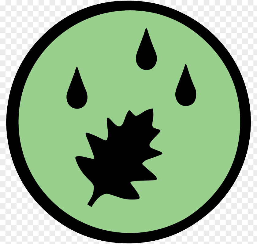 Plant Stem Leaf Logo Clip Art PNG