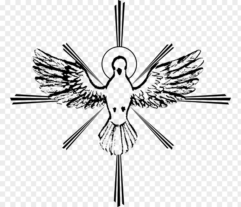Santo Gospel Of John Drawing Holy Spirit In Christianity Doves As Symbols PNG