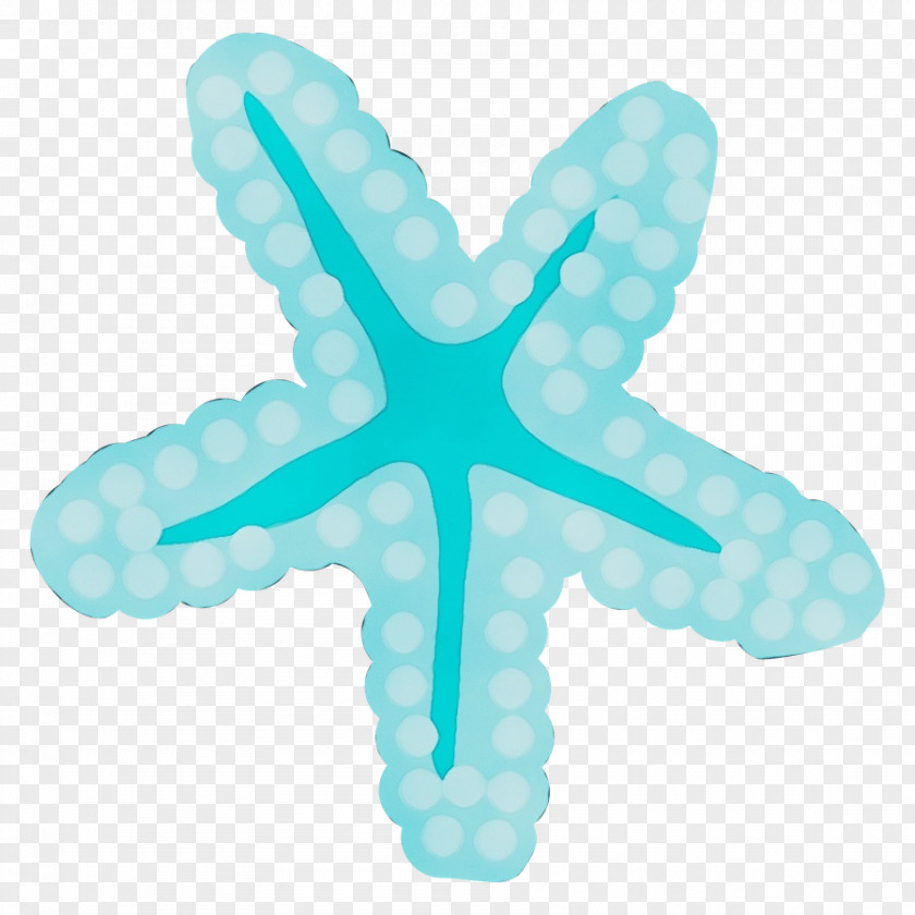 Aqua Turquoise Starfish Symbol PNG