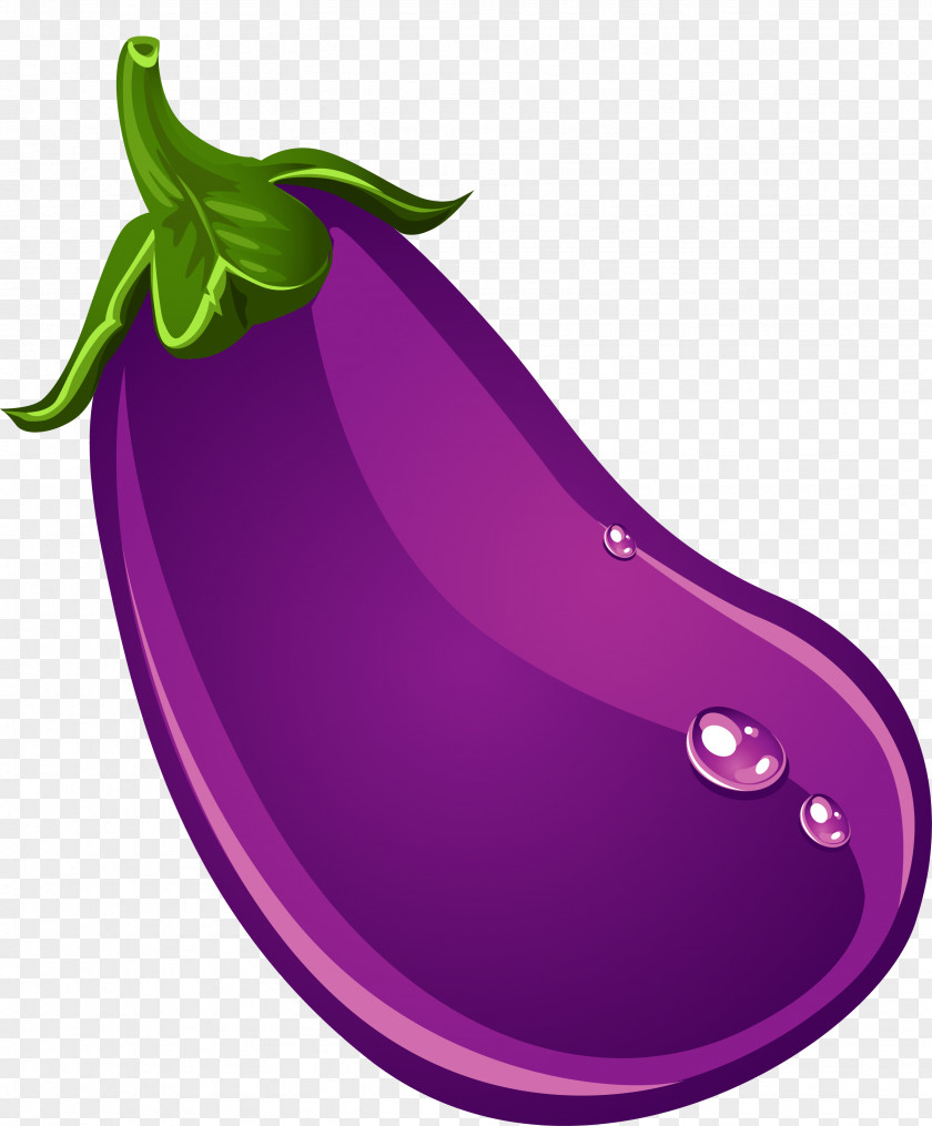 Hand Painted Eggplant Vector Fruit PNG
