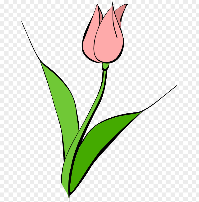Hand Washing Clipart Tulipa Gesneriana Free Content Flower Clip Art PNG