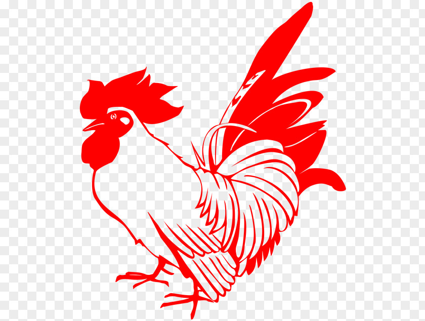 Livestock Tail Chicken Cartoon PNG