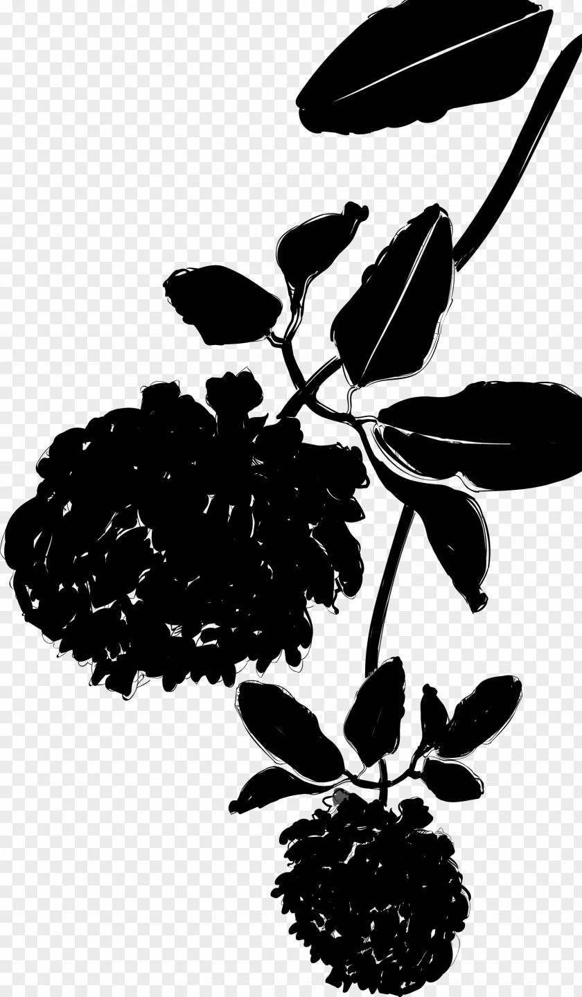 M Flower Plant Stem Leaf Silhouette Black & White PNG