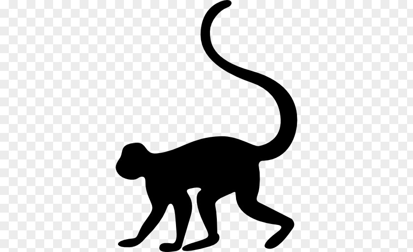 Old World Monkeys Cat Whiskers Padha PNG