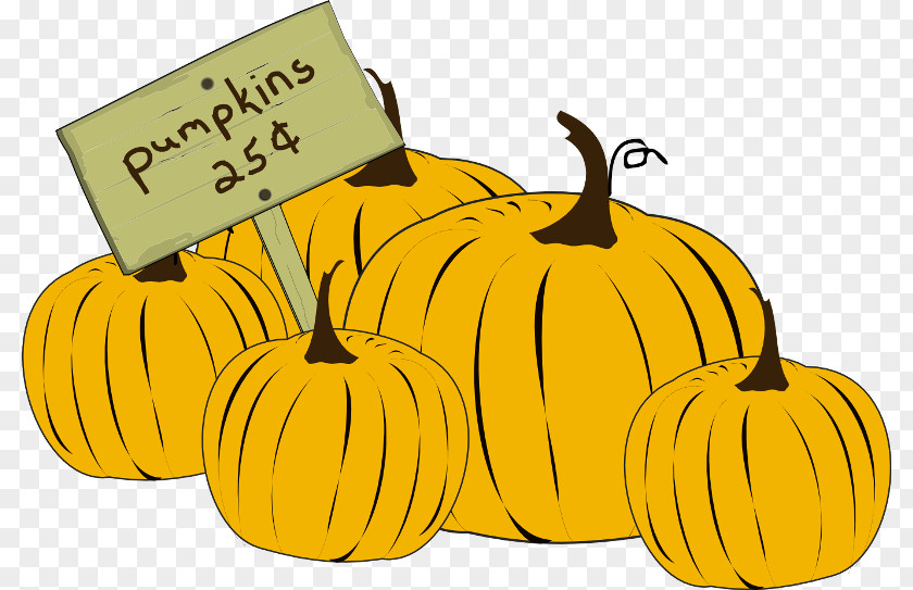 Pumpkin Drawing Jack-o'-lantern Time Winter Squash Gourd PNG