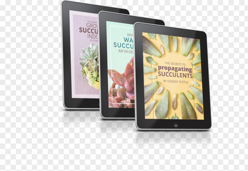 Suculent E-book Succulent Plant Tutorial Re:Re: PNG