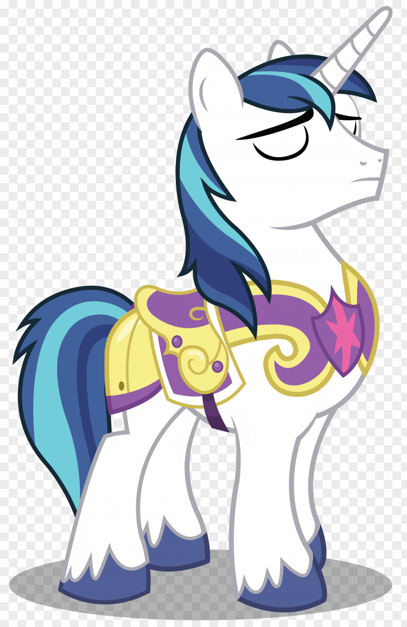 The Sleeping Unicorn Princess Cadance Shining Armor Twilight Sparkle Pony Rainbow Dash PNG