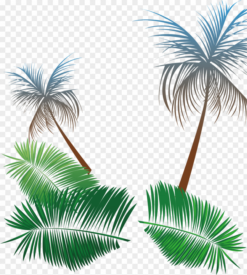 Coconut Tree Background Material Summer Promotion Beach PNG