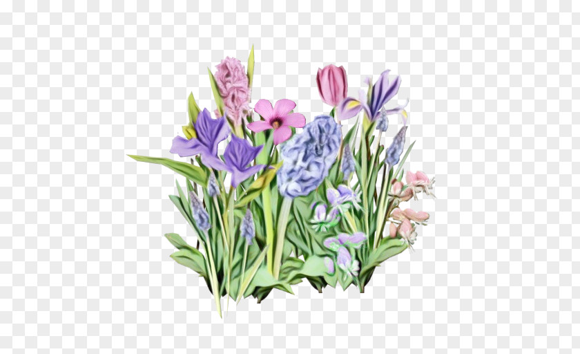 Crocus Petal Flower Flowering Plant Violet Tulip PNG