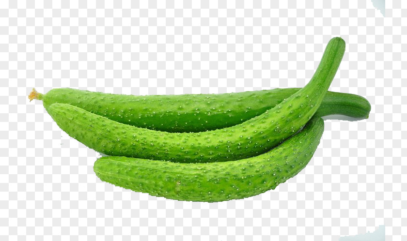 Cucumber Vegetable Food Melon Vitamin PNG