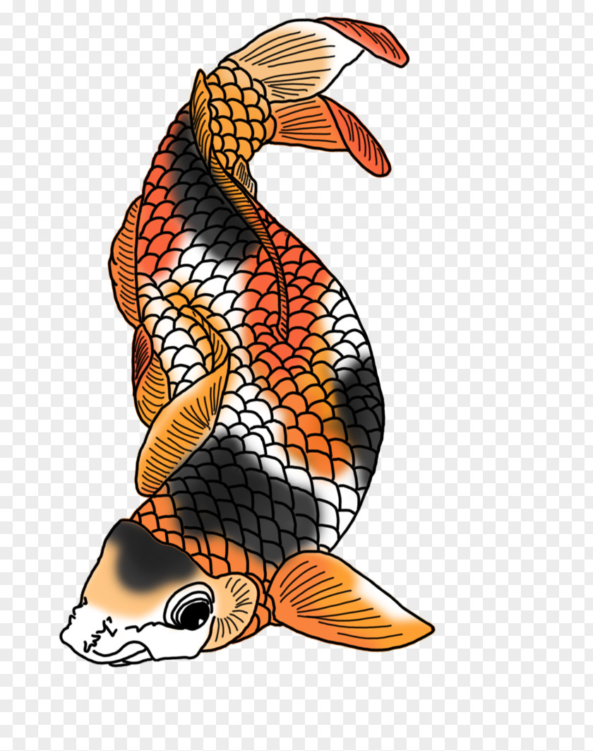 Fish Koi Clip Art PNG