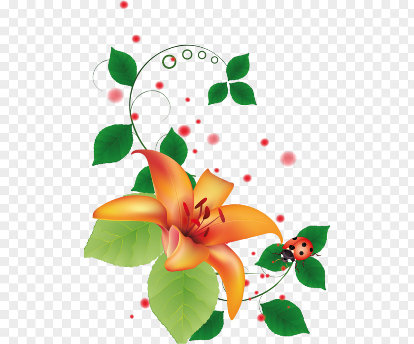 Flower Desktop Wallpaper Color Clip Art PNG