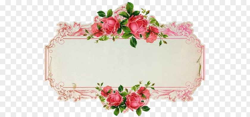 Flowers Border PNG border clipart PNG