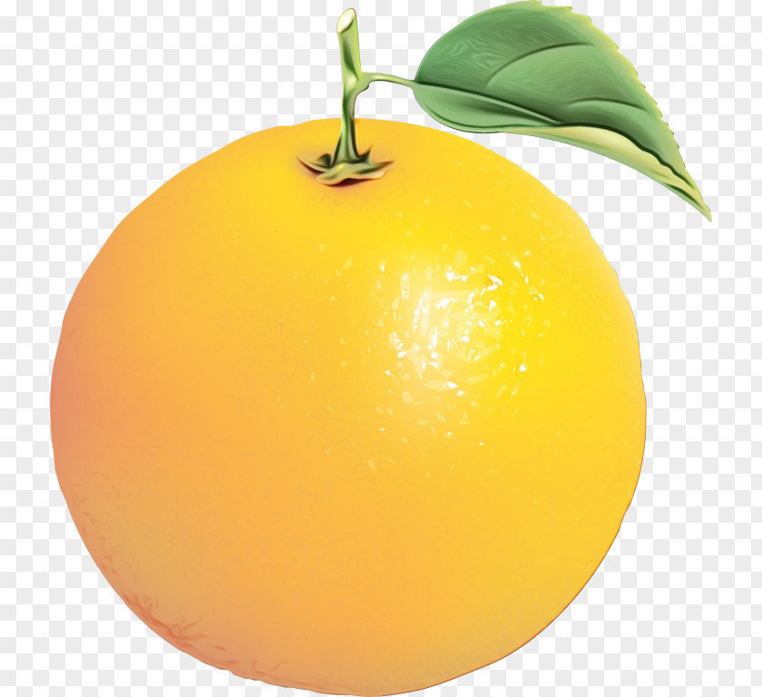 Food Plant Lemon Juice PNG