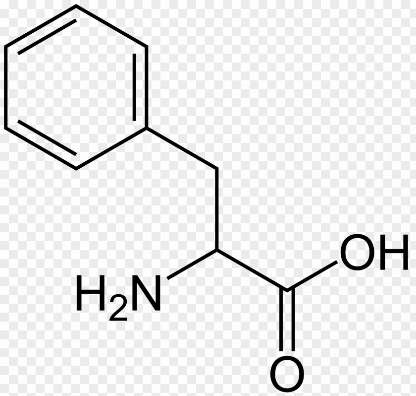 Leucine Branched-chain Amino Acid Alanine Proteinogenic PNG