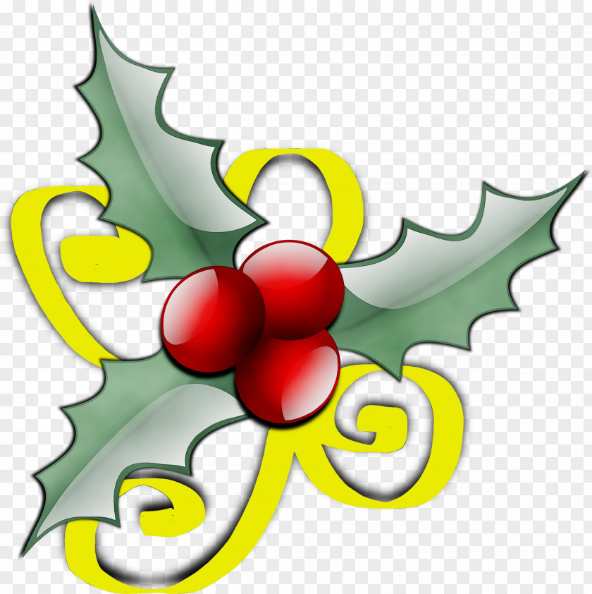 Plant Leaf Holly PNG