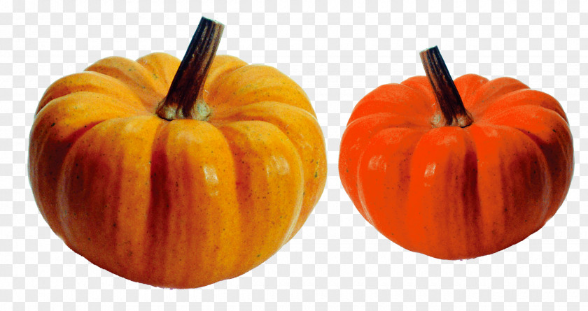 Pumpkin Crookneck Vegetable Turban Squash Auglis PNG