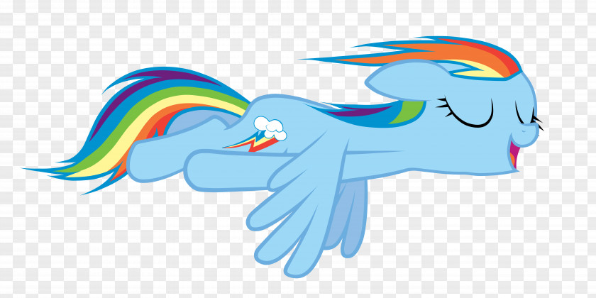 Rainbow Dash Fluttershy My Little Pony PNG