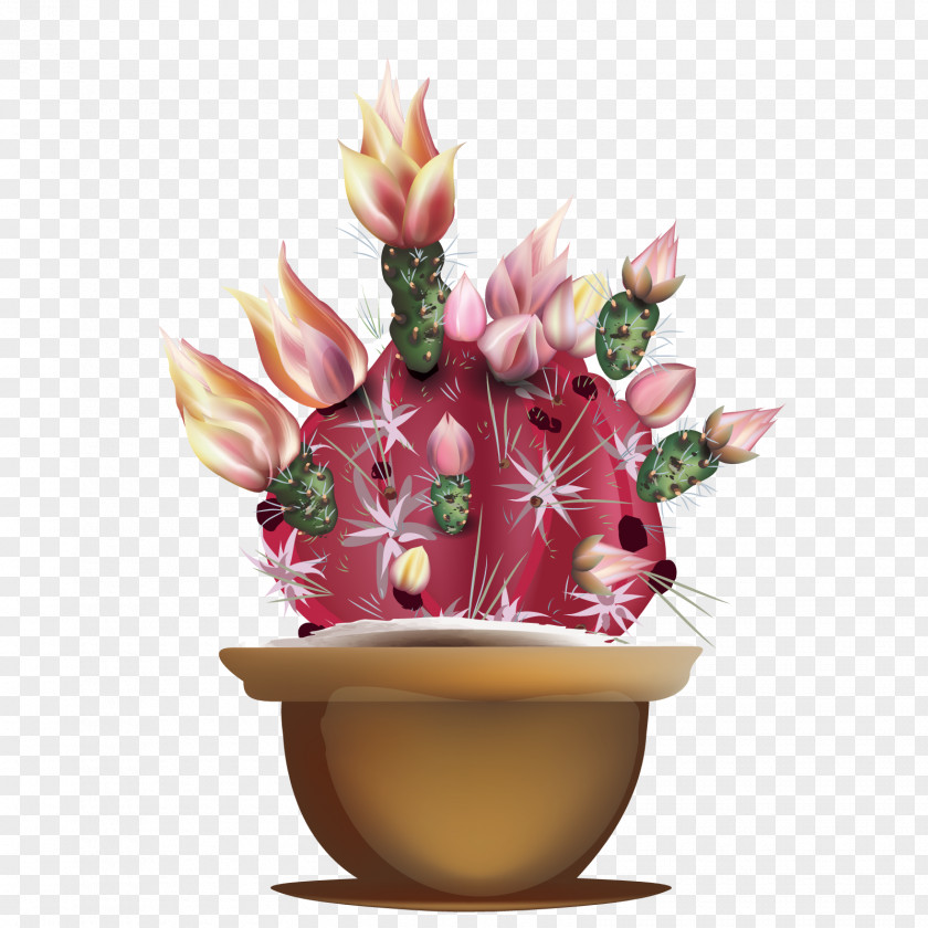 Vector Cactus Bonsai Floral Design Cactaceae PNG