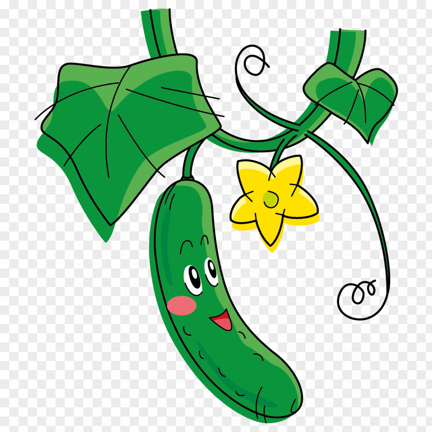 Hand-painted Face Cucumber Cartoon Vegetable Melon PNG