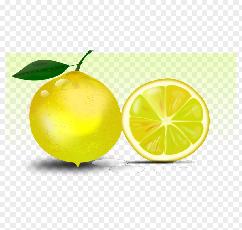 Lemon Slices Free Download Tart Clip Art PNG