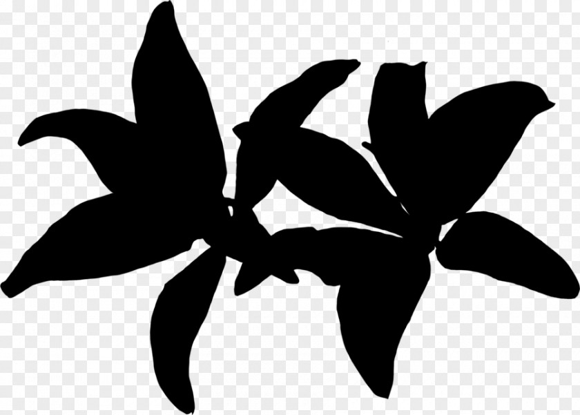 M Clip Art Silhouette Leaf Flowering Plant Black & White PNG