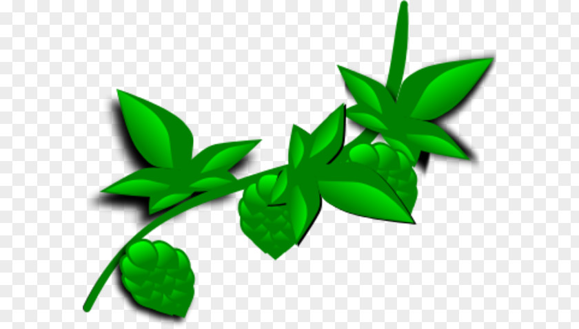 Big Leaf Plant Hops Clip Art PNG