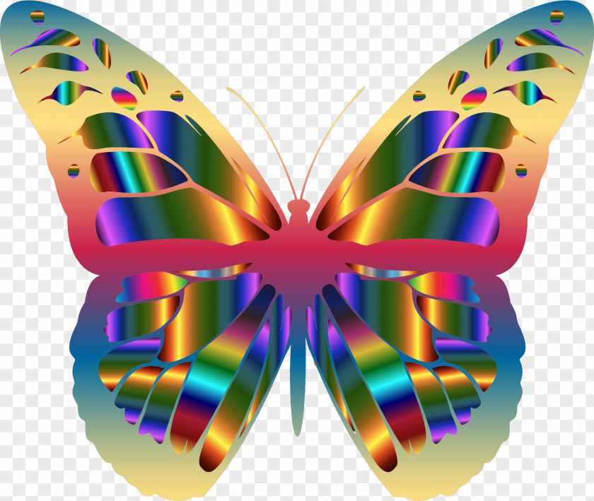 Butterfly Monarch Insect Clip Art PNG