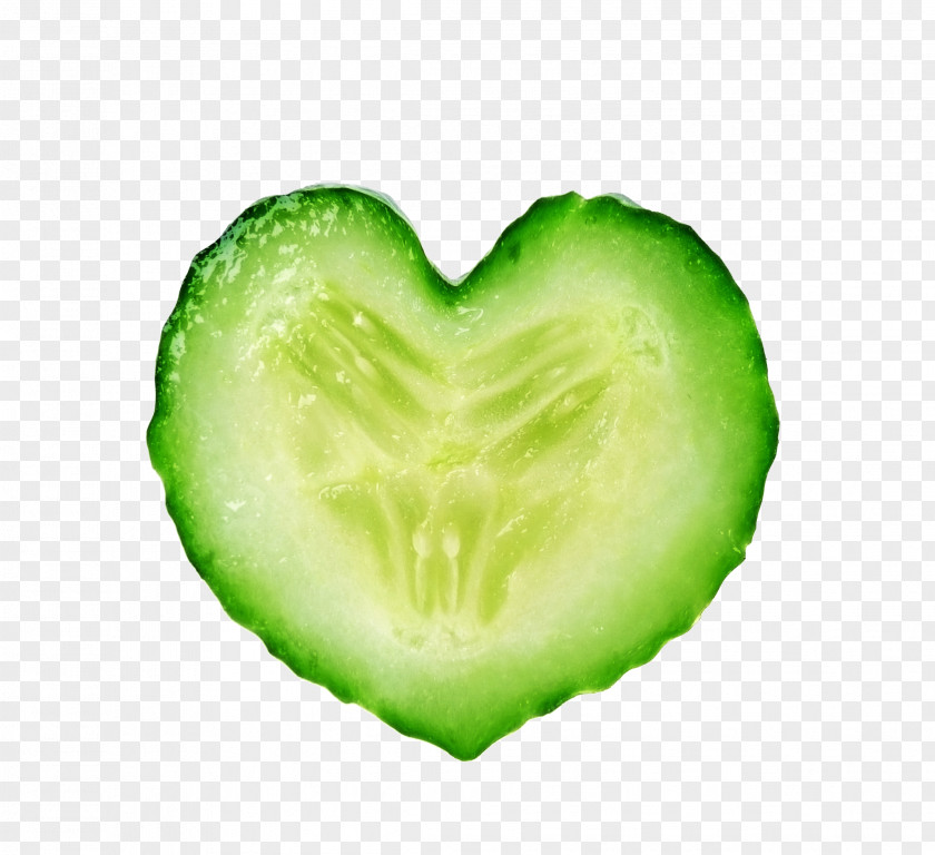 Celery Cucumber Food Vegetable Melon PNG