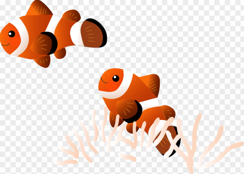 Fish Tropical Goldfish Aquariums PNG
