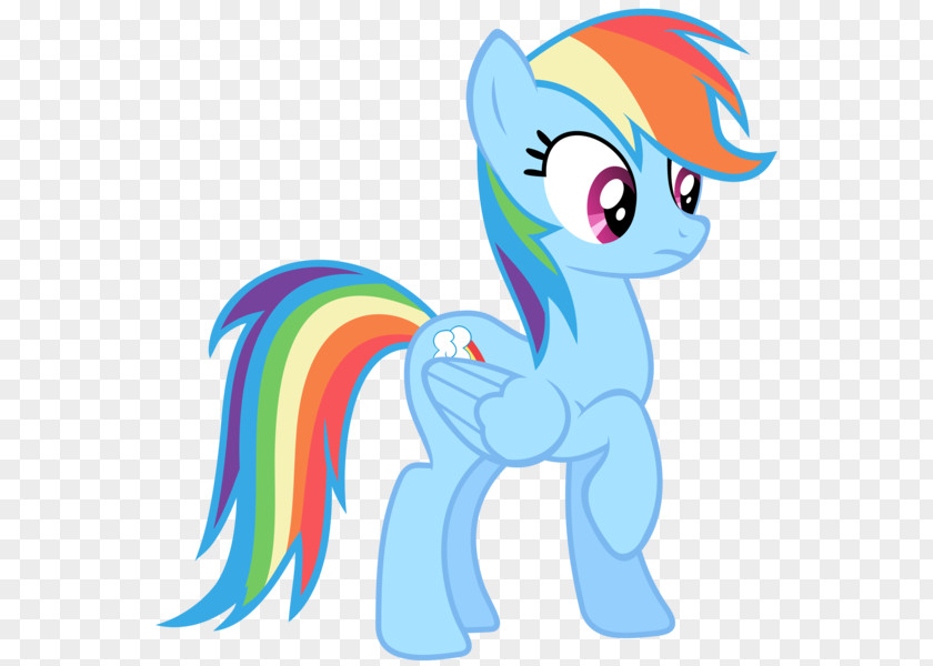 My Little Pony Rainbow Dash Twilight Sparkle Rarity Pinkie Pie Applejack PNG