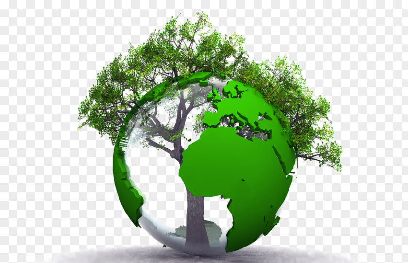Natural Environment Sustainable Development Environmental Protection Economic Enjeu PNG