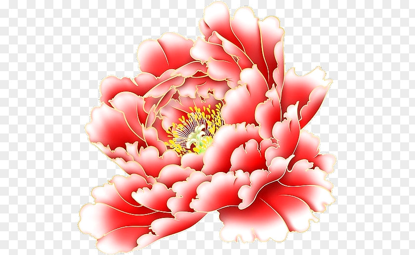 Pink Flowers Floral Design Flower PNG