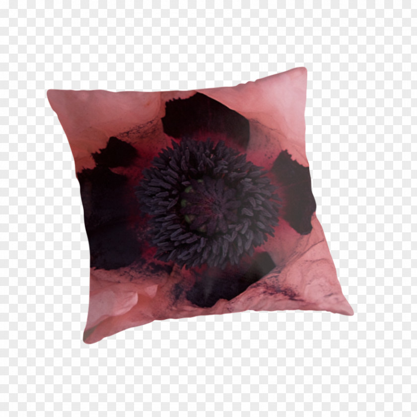 Red Poppy Cushion Throw Pillows The Family PNG