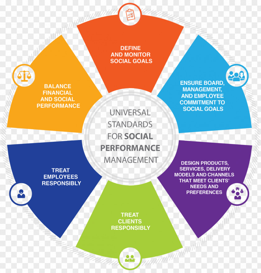 Social Media Performance Management Project Professional Organization PNG