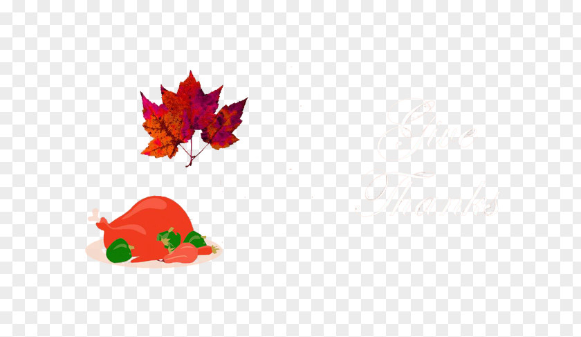 Thanksgiving Text Leaf Petal Illustration PNG